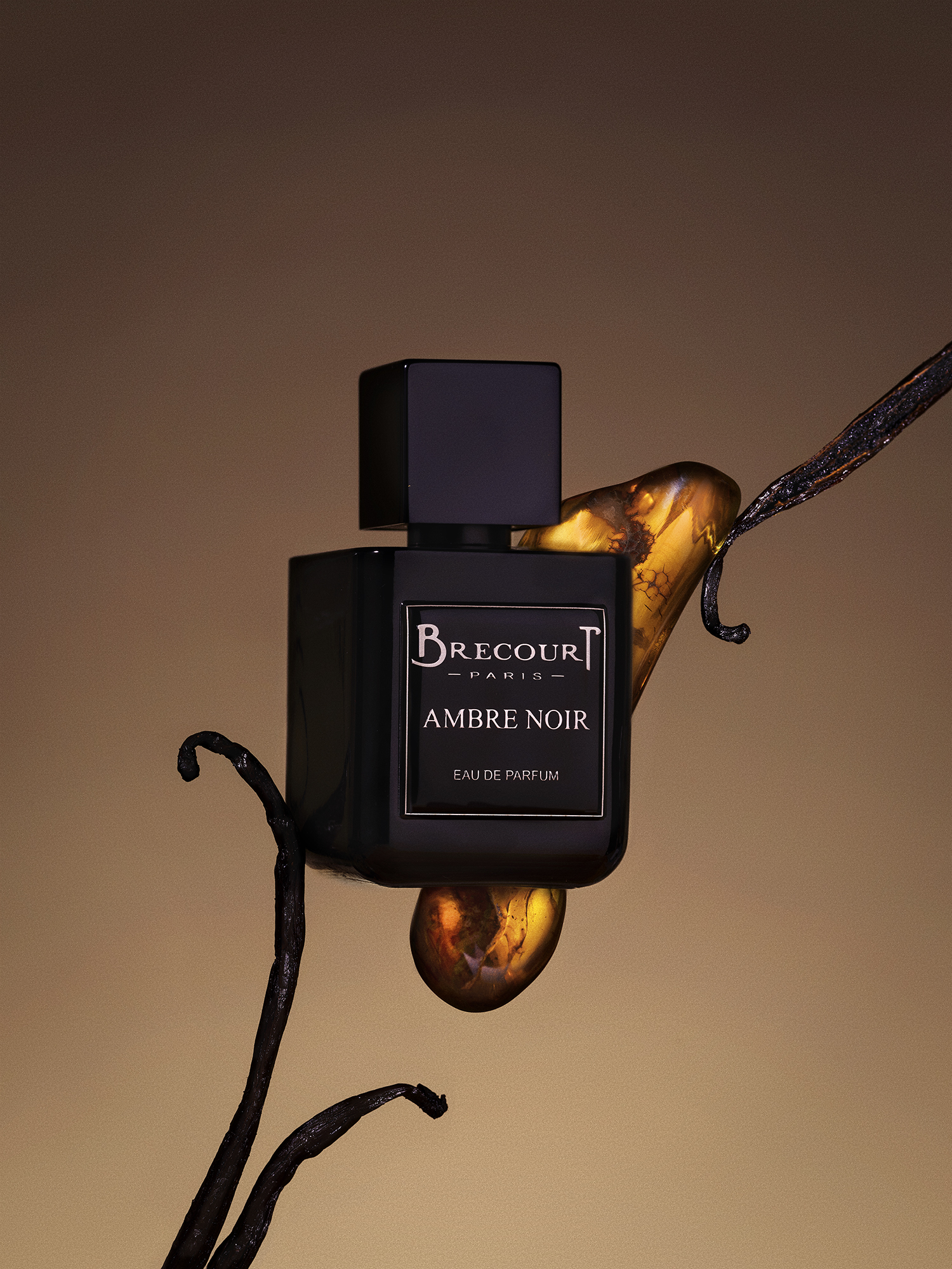 Ambre noir